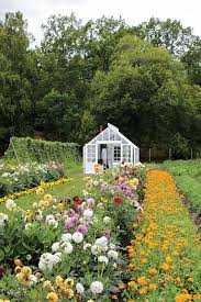 Sweden Cottage Garden Garden Planning Dream Garden