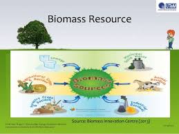 Final Year Project Renewable Energy Adoption As Energy Efficiency A Renewable Energy Projects Solar Power Energy Energy Projects