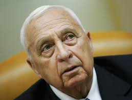Former Israeli leader Ariel Sharon remains in critical condition