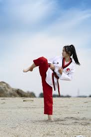 태권도 역사와 함께 써 내려온 태권도시범단! Tatool ì„œì‚° ë°œì°¨ê¸°ì—¬í–‰ í˜¸ë™íƒœê¶Œë„ìž¥ í•œêµ­íƒœê¶Œë„ ë„êµ¬ìˆ˜ë ¨ì›