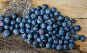 Blueberries at a u pick berry farm in the pacific northwest. How To Care For Blueberry Bushes Dengarden