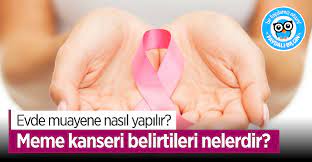 Meme Kanseri Belirtileri Nelerdir Evde Muayene Nasil Yapilir Meme Kanseri Saglik Bilgi