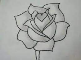 Rose flower continuous line drawing single hand drawn set element collections. Rose Flower Draw Easy Ideas Flower Sketches Flower Drawing Roses Drawing