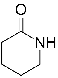 Image result for Dichilus lebeckioides