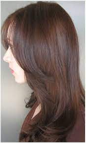 Sable Brunette Jonathan George Blog Cool Hairstyles Ion Hair Color Brown Hair Colors