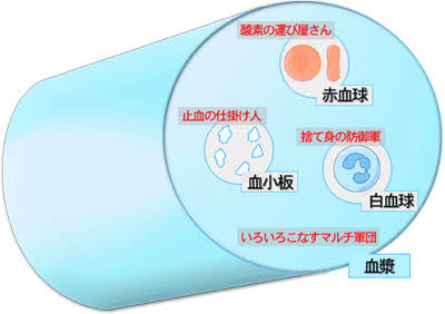 血液について 一般社団法人日本血液製剤協会