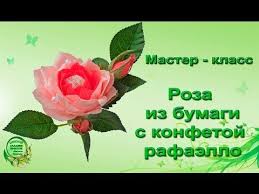 как сделать бутон розы из гофрированной бумаги без конфет Roza Iz Gofrirovannoj Bumagi S Rafaello Rozy Cvetok Bumaga