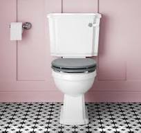 Bayanan bayan gida mai Ruwa tare da Full Pedestal Basin ...