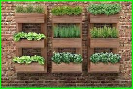 Kebun sayur dengan sistem hidroponik ini cocok diterapkan pada daerah yang memiliki keterbatasan air. Kebun Kecil Yang Cantik Di Depan Maupun Belakang Rumah Dunia Fauna Hewan Binatang Tumbuhan Dunia Fauna Hewan Binatang Tumbuhan