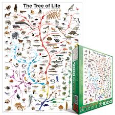 Jigsaw puzzle board by gibsons £26.99. Puzzle Evolution The Tree Of Life Eurographics 6000 0282 1000 Pieces Jigsaw Puzzles Educative And Playful Jigsaw Puzzle
