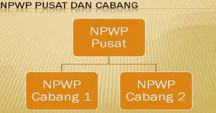 Contohnya adalah, jika perusahaan anda berada di surabaya sementara kegiatan usaha ada di makassar, maka status pusat npwp ada di surabya, sementara npwp makassar berstatus cabang. Cara Mengisi Status Pusat Cabang Npwp Tutorial Pajak