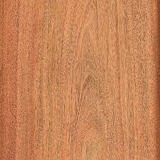 Image result for Khaya