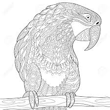 Etsy accueille des milliers de produits et cadeaux faits main vintage et uniques en lien avec votre recherche. Stylise Dessin Anime Perroquet Ara Isole Sur Fond Blanc Main Croquis Dessine Pour Adultes Page Antistress Colorante T Shirt Embleme Tatouage Avec Griffonnage Elements De Design Floral Clip Art Libres De Droits