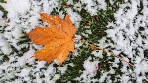 The first snow of the season has arrived in Minnesota. The earliest snow  and the greatest accumulations started Thursday in n… | Seasons, Northern  minnesota, Wintry