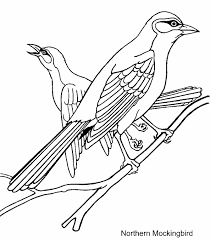 Have students fill in the state capital, major cities and other state attractions on this florida state map. Free Collection Of Bird Coloring Picture Coloring Pages Coloring Pages Library