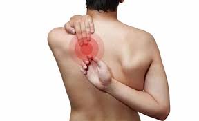 Tulang belikat ini memiliki nama lain. Nyeri Pada Tulang Belikat Penyebab Diagnosis Pelatihan Dan Perawatan