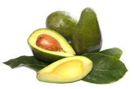 avokado hasadi basladi