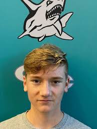 ndn boys cross country all area team 2020