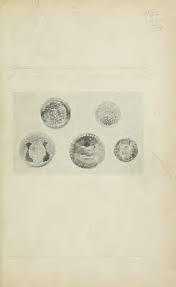 Rhode Island Historical Society collections