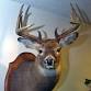 Frontiersmen - Wild Game Dinner event image