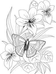 Select from 35970 printable crafts of cartoons, nature, animals, bible and many more. Flower Coloring Pages For Adults Printable Flower Coloring Pages Butterfly Coloring Page Flower Coloring Pages