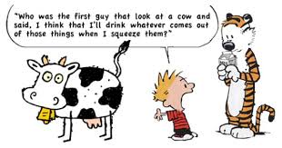 Who First Decided To Drink Milk Calvin Hobbes Quote Calvin And Hobbes Quotes Calvin And Hobbes Comics Calvin And Hobbes
