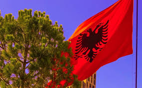 Η πρεσβεία της αλβανίας στη ουάσινγκτον επιβεβαίωσε, μέσω του αναπληρωτή πρεσβευτή κρεσνίκ τσολάκου, ότι η αλβανία είναι έτοιμη να δεχτεί κρατούμενους του γκουαντανάμο οι οποίοι. Sthrizoyme Thn Albania Xwris Kanenan Oro To Paron