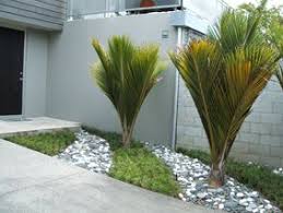 surfaces op low maintenance garden garden design city garden