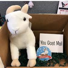 You Goat Mail Anonymously Send A Cute Little Goat To Anyone You Want Goats Nubian Goat Shopaholic Gift