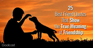 All content on this website is for informational purposes only. 135 Best Friend Quotes That Show The True Meaning Of Friendship