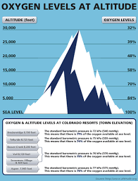 Study Mountain Climbing Kills Brain Cells Mountain Climbing Hiking Trip Ice Climbing