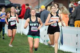 Mediapolis boys qualify for state cross country