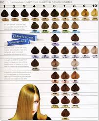 Hair Color Levels 1 10 Chart Tattoo And Tattoo