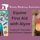 Equine First Aid with Alyce event image