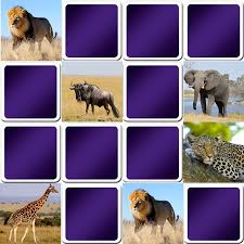 Memory Game African Animals African Animals Memory Games Animal Games