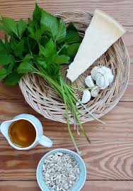 Ein Sensationelles Giersch Pesto Gesund Und Lecker Rezept Giersch Pesto Giersch Giersch Rezepte