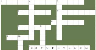 Here you may find the pain in the neck crossword clue answers and solutions. Ripens Crossword Clue Crosswordeg