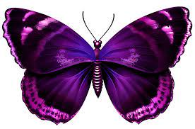 Purple Butterfly Transparent Png Image Blue Butterfly Wallpaper Butterfly Painting Butterfly Drawing