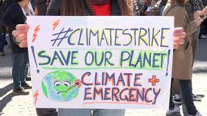 Tom weller/picture alliance via getty images. Shutterstock