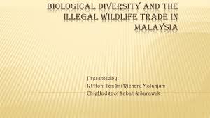 Tan sri datuk seri panglima richard malanjum (geboren 13 oktober 1952) is een maleisische jurist en advocaat die diende als de negende opperrechter van maleisië en de vierde opperrechter van sabah en sarawak. Presented By Rt Hon Tan Sri Richard Malanjum Chief Judge Of Sabah Sarawak Ppt Download