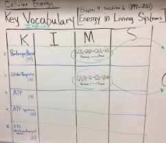 Assignment Cellular Respiration Web Quest 3