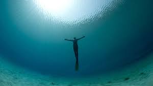 What you need to know is that these images that you add will neither increase nor decrease the speed of your computer. Freediving Wallpapers Top Free Freediving Backgrounds Wallpaperaccess