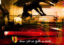 Jacek kiełb karierę piłkarską rozpoczynał w pogoni siedlce.w grudniu 2005 roku trafił do korony kielce.kilka miesięcy później zadebiutował w ekstraklasie.w sezonie 2008/2009 strzelając siedem goli w 31 meczach pomógł swojej drużynie powrócić do gry w. Herb Korona Kielce