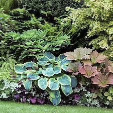 Gorgeous Garden Border Design Ideas For Any Yard In The West Sunset Plants Shade Garden Design Garden Borders