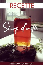 Recette De Sirop D Ortie En 2020 Recettes De Sirop Recette Ortie Recette