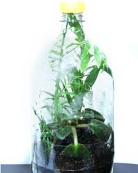 60 Ways To Reuse Plastic Bottles Fosh