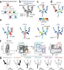 Spade Applied To Mouse Bone Marrow Flow Cytometry Data A