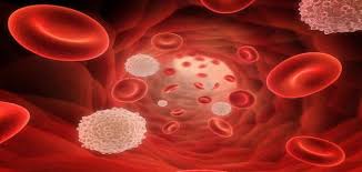 اعراض ارتفاع كريات الدم الحمراء مول