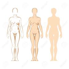 Anime and cartoon face expressions 8 ways. Female Body Hand Drawn Female Body In Different Poses Set Woman Royalty Free Cliparts Vectors And Stock Illustration Image 150917392