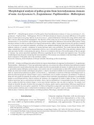 Image result for Aeschynomene nyikensis